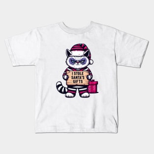 Grumpy Christmas Cat. Christmas Cat 2024 Kids T-Shirt